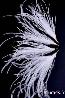 Hanger struisvogel - 9-12 cm - wit